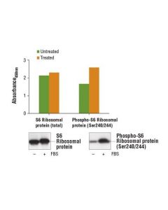 Cell Signaling Pathscan  Phospho-S6 Ribosomal Protein (Ser240/244) Sandwich Elisa Kit