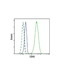 Cell Signaling Cd45 (Intracellular Domain) (D9m8i) Xp Rabbit mAb