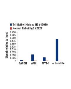 Cell Signaling Tri-Methyl-Histone H3 (Lys9) (D4w1u) Rabbit mAb