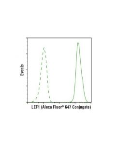 Cell Signaling Lef1 (C12a5) Rabbit mAb (Alexa Fluor  647 Conjugate)