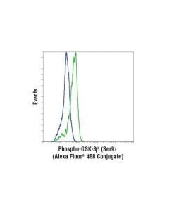 Cell Signaling Phospho-Gsk-3beta (Ser9) (D85e12) Xp  Rabbit mAb (Alexa Fluor 488 Conjugate)