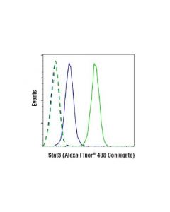 Cell Signaling Stat3 (D3z2g) Rabbit mAb (Alexa Fluor  488 Conjugate)