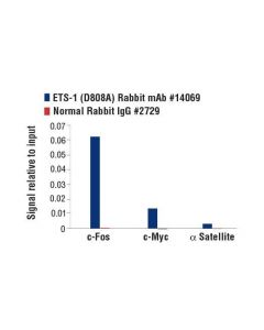 Cell Signaling Ets-1 (D8o8a) Rabbit mAb