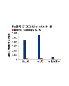Cell Signaling Aebp2 (D7c6x) Rabbit mAb