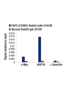 Cell Signaling Eaf2 (E1r8c) Rabbit mAb