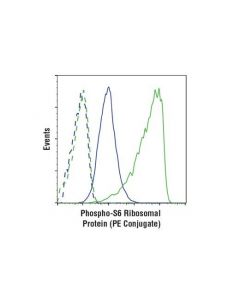 Cell Signaling Phospho-S6 Ribosomal Protein (Ser240/244) (D68f8) Xp  Rabbit mAb (Pe Conjugate)