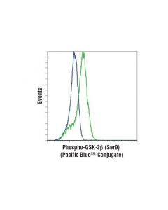 Cell Signaling Phospho-Gsk-3beta (Ser9) (D85e12) Xp  Rabbit mAb (Pacific Blue Conjugate)