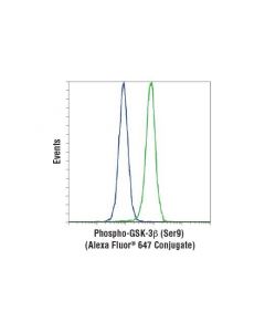 Cell Signaling Phospho-Gsk-3beta (Ser9) (D85e12) Xp Rabbit mAb (Alexa Fluor 647 Conjugate)
