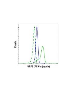 Cell Signaling Nrf2 (D1z9c) Xp  Rabbit mAb (Pe Conjugate)
