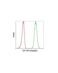Cell Signaling Lef1 (C12a5) Rabbit mAb (Pe Conjugate)