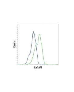 Cell Signaling Epcam (D9s3p) Rabbit mAb