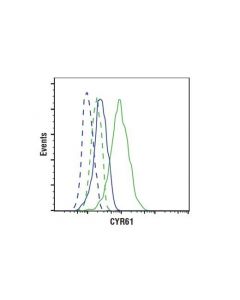 Cell Signaling Cyr61 (D4h5d) Xp Rabbit mAb