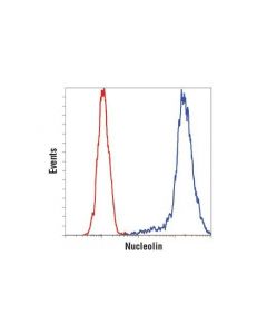 Cell Signaling Nucleolin (D4c7o) Rabbit mAb