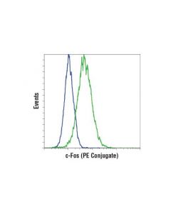 Cell Signaling C-Fos (9f6) Rabbit mAb (Pe Conjugate)