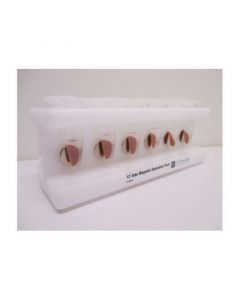 Cell Signaling 12-Tube Magnetic Separation Rack
