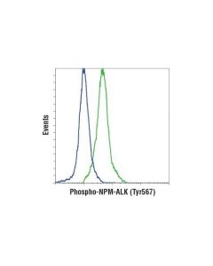 Cell Signaling Phospho-Alk (Tyr1507) (D6f1v) Rabbit mAb