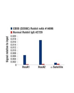 Cell Signaling Cbx8 (D2o8c) Rabbit mAb