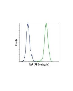 Cell Signaling Yap (D8h1x) Xp  Rabbit mAb (Pe Conjugate)