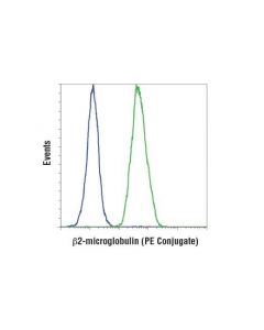 Cell Signaling Beta2-Microglobulin (D8p1h) Rabbit mAb (Pe Conjugate)