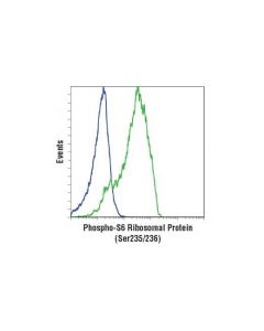 Cell Signaling Phospho-S6 Ribosomal Protein (Ser235/236) (D57.2.2e) Xp  Rabbit mAb (Apc Conjugate)