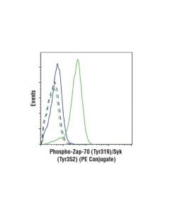 Cell Signaling Phospho-Zap-70 (Tyr319)/Syk (Tyr352) (65e4) Rabbit mAb (Pe Conjugate)