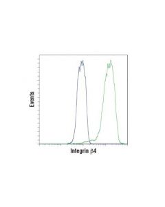 Cell Signaling Integrin Beta4 (D8p6c) Xp