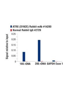 Cell Signaling Atrx (D1n2e) Rabbit mAb