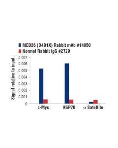Cell Signaling Med26 (D4b1x) Rabbit mAb
