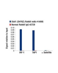 Cell Signaling Stat1 (D4y6z) Rabbit mAb