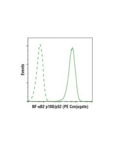 Cell Signaling Nf-Kappab2 P100/P52 (18d10) Rabbit mAb (Pe Conjugate)