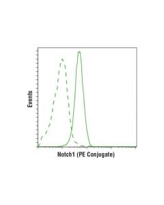 Cell Signaling Notch1 (D6f11) Xp Rabbit mAb (Pe Conjugate)