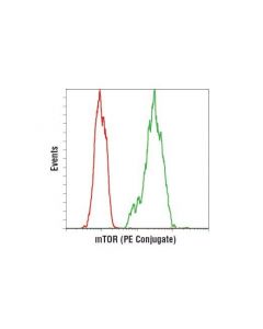 Cell Signaling Mtor (7c10) Rabbit mAb (Pe Conjugate)