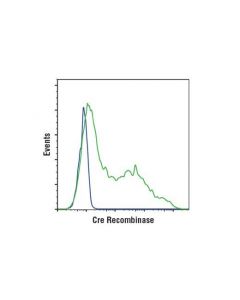 Cell Signaling Cre Recombinase (D7l7l) Xp Rabbit mAb