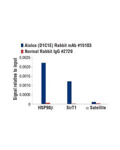 Cell Signaling Aiolos (D1c1e) Rabbit mAb