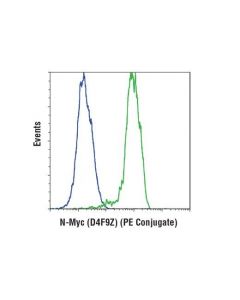 Cell Signaling N-Myc (D4f9z) Rabbit mAb (Pe Conjugate)