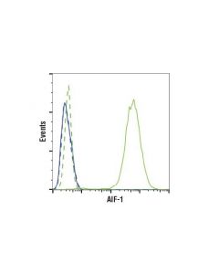 Cell Signaling Iba1/Aif-1 (E4o4w) Xp Rabbit mAb