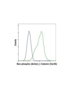 Cell Signaling Non-Phospho (Active) Beta-Catenin (Ser45) (D2u8y) Xp Rabbit mAb
