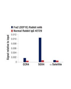 Cell Signaling Fra2 (D2f1e) Rabbit mAb
