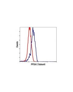 Cell Signaling Pp2a C Subunit Antibody