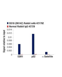 Cell Signaling Ss18 (D6i4z) Rabbit mAb