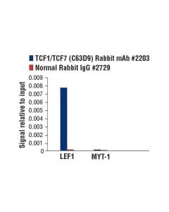 Cell Signaling Tcf1/Tcf7 (C63d9) Rabbit mAb