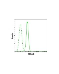 Cell Signaling Pp2a C Subunit (52f8) Rabbit mAb