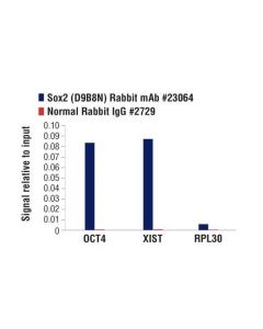Cell Signaling Sox2 (D9b8n) Rabbit mAb