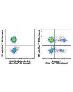 Cell Signaling Granzyme H (E3h7w) Rabbit mAbjugate)