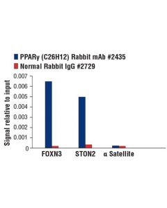 Cell Signaling Ppargamma (C26h12) Rabbit mAb