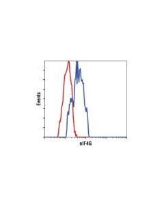 Cell Signaling Eif4g (C45a4) Rabbit mAb