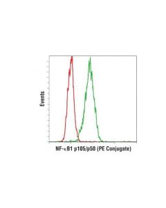Cell Signaling Nf-Kappab1 P105/P50 (D4p4d) Rabbit mAb (Pe Conjugate)