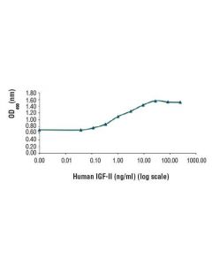 Cell Signaling Human Insulin-Like Growth Factor Ii (Higf-Ii)