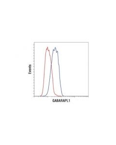 Cell Signaling Gabarapl1 (D5r9y) Xp Rabbit mAb