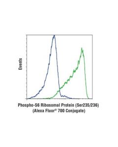 Cell Signaling Phospho-S6 Ribosomal Protein (Ser235/236) (D57.2.2e) Xp Rabbit mAb (Alexa Fluor 700 Conjugate)